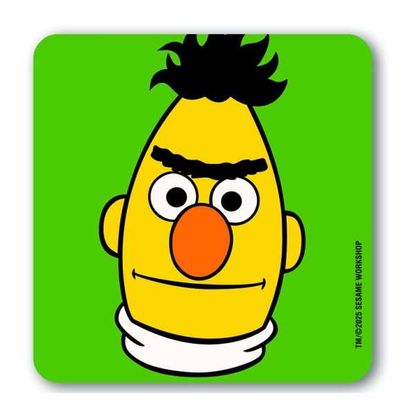 Sesame St - Bert - Coasters - coloured